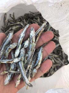 Dried Anchovies