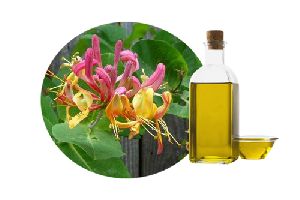 Honeysuckle Oil