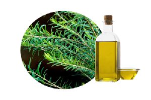 Tea Tree Oil