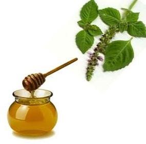 Tulsi Flora Honey