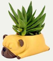 Bull Dog Resin Flower Pot