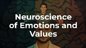 Neuroscience of Emotions and Values