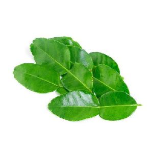 Lime Leaf