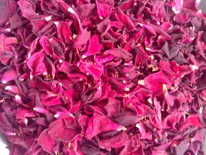 dry rose flowers