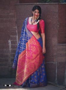 Multicolor Patola saree