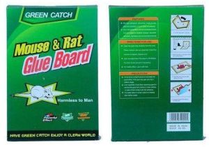 rat glue board