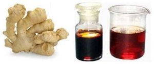 Ginger Oleoresin