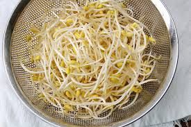 Soybean Sprout