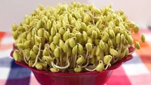 sprouts