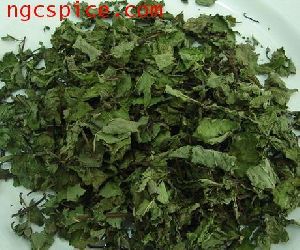 Dry Podina Leaves