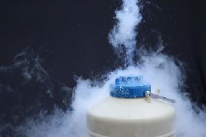 liquid nitrogen tank