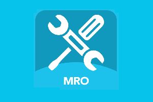 MRO Material Master Data Cleansing services