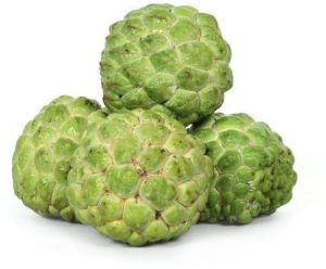 Frozen Custard Apple