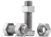 Ss Nut Bolt