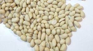 Dry Blanched Roasted Peanut