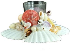 Seashell Pen stand