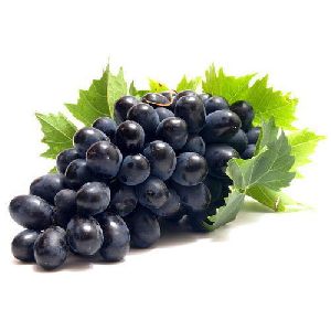 Fresh Black Grapes