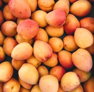 Fresh Apricot