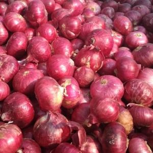 Fresh Pink Onion