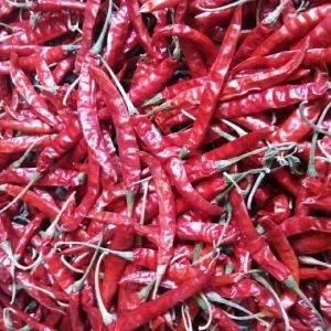 Dried Red Chilli