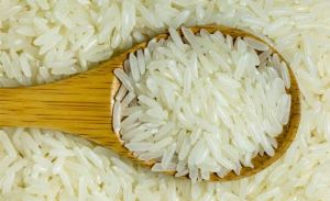 1121 Basmati Rice