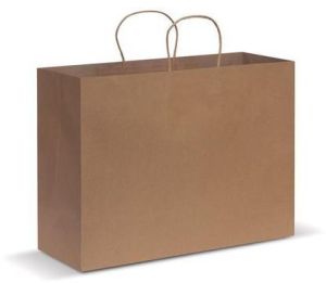 Disposable Paper Bag