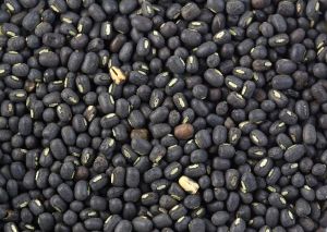 Whole Black Urad Dal