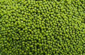 Whole Green Moong Beans