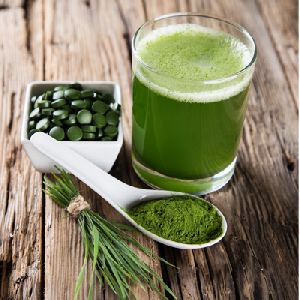 Spirulina Feed Supplement