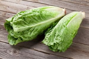 Fresh Romaine Lettuce