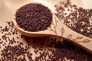 Mustard Seeds