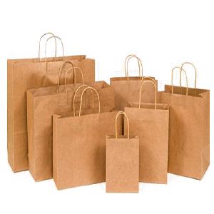 Brown Paper Shopping Bag