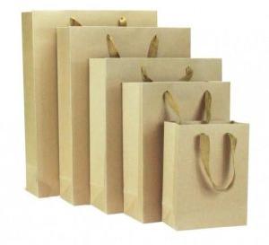 Eco Friendly Brown Paper Bag