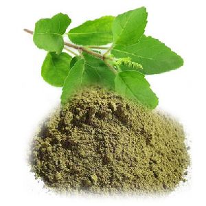 Organic Natural Panch Tulsi Tea