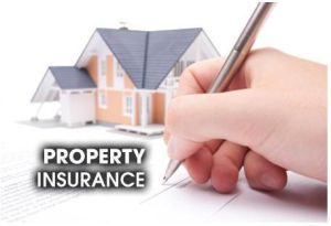 Property Insurance Services