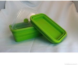 Collapsible Container