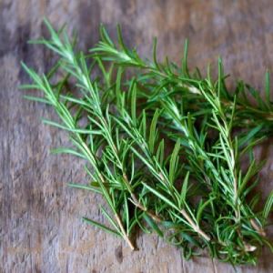 Rosemary Leaf