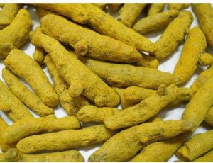 Organic Turmeric Finger