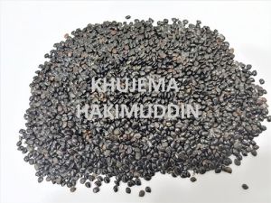 Chaksu Seeds