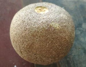 Fresh Wood Apple