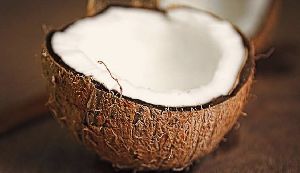 Coconut