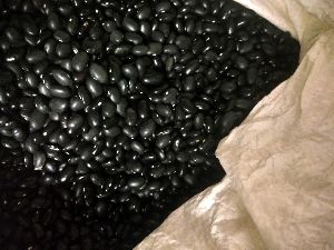 Black Beans