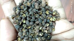 szechuan pepper