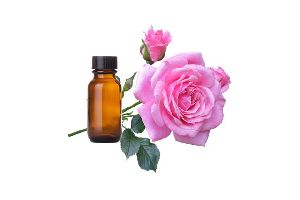 Rose Oil