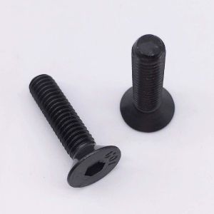 tvs fasteners