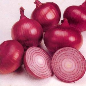 Fresh Natural Onion