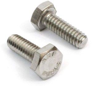 Stainless Steel Bolts