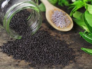 Basil Seeds