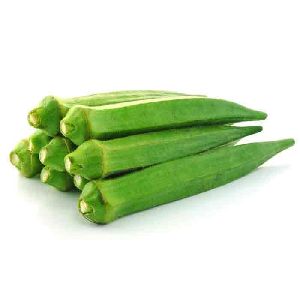 Fresh Okra