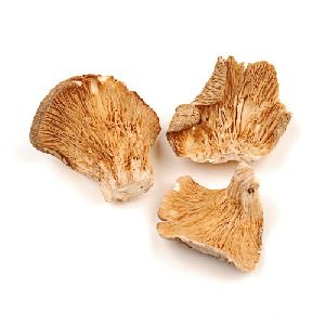 Organic Oyster Mushroom